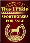 Horses for sale.